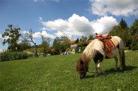 Provedite savršen vikend u dvoje na Vuglec Bregu za 495 kn/osobi