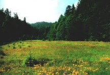 Doživite ljepote Gorskog kotara – od najvišeg vrha do dubokih kanjona