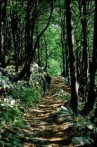 Doživite ljepote Gorskog kotara – od najvišeg vrha do dubokih kanjona