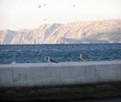 Vikend ruta - Crikvenica, Selce, Dramalj, Novi Vinodolski, Senj