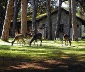 Brijuni - jedinstvena priroda, omiljena turistička destinacija i raj na zemlji