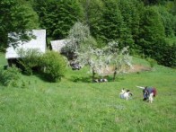 Risnjak - jedna od najljepših planina i rezervata Hrvatske