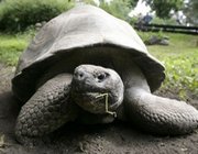 Zoološki vrt i akvarij grada Osijeka najveći je zoološki vrt u Hrvatskoj