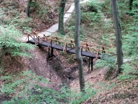 Planinarenje po Medvednici