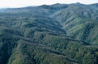 Park prirode Papuk - prirodni raj u srcu Hrvatske
