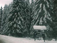 Gorska idila u hotelu Jastreb*** u srcu Gorskog kotara od 270 kn po noćenju