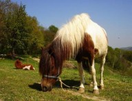 Zimovanje na Vuglec Bregu - 2 noćenja 690 kn po osobi