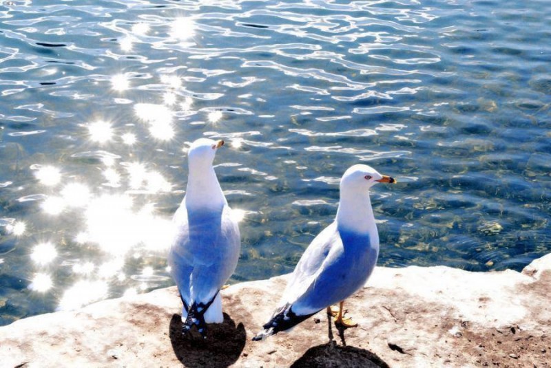 Highlights of weekends at sea ... sun, sea and romance - a perfect weekend!