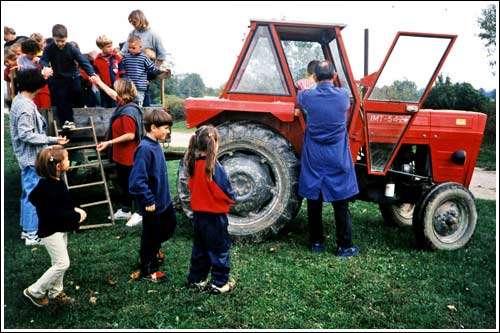 Day trips for schools and kindergartens for only 80 per child - farm Šimanović