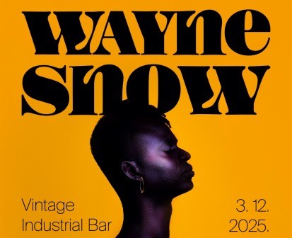 Neo-soul atrakcija Wayne Snow u srijedu  3. prosinca u Vintageu