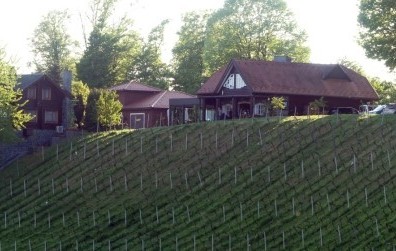 Vinski vikend u Zagorju: između  prekrasnih zelenih brega, autohtonih sorti i suvremenih vizija