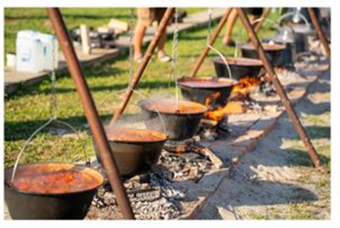 Fišijada  je vrhunac  Dunav Festa u Vukovaru,  od 25. do 27. lipnja na Dunavskoj...