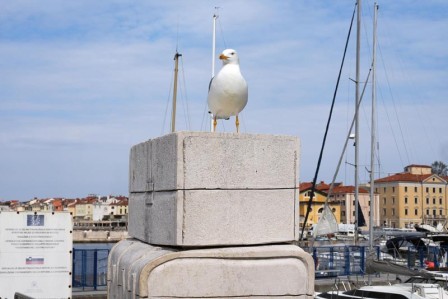 Otkrili smo gdje otići prije ljeta! Ova destinacija između Portoroža i Pirana...